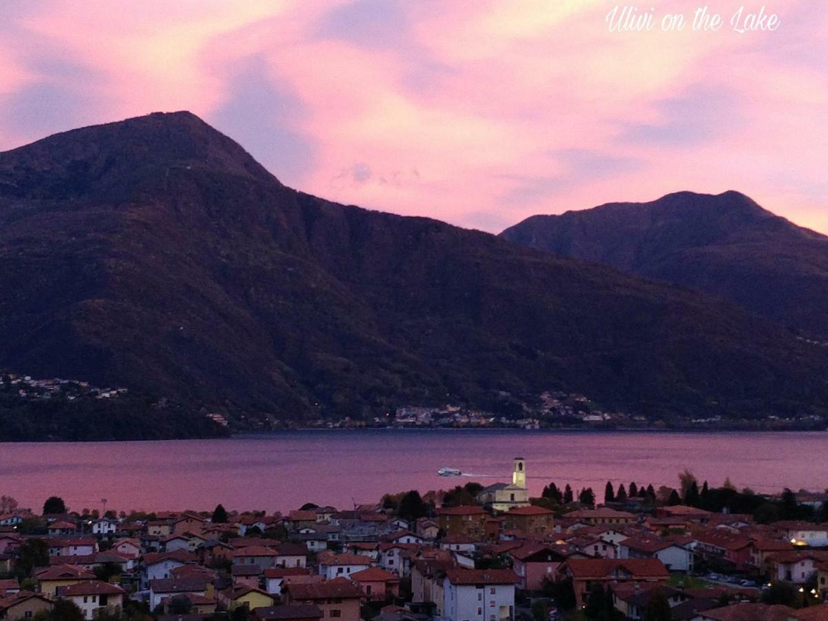 Ulivi On The Lake Dongo Exterior photo
